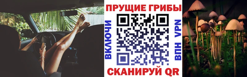 Псилоцибиновые грибы Psilocybe  Набережные Челны 
