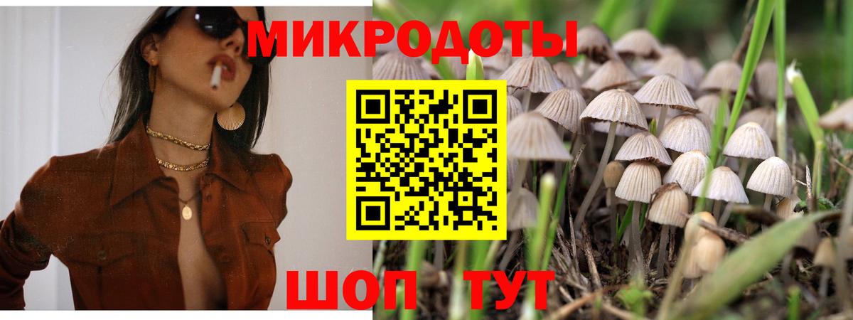 Псилоцибиновые грибы прущие грибы Набережные Челны